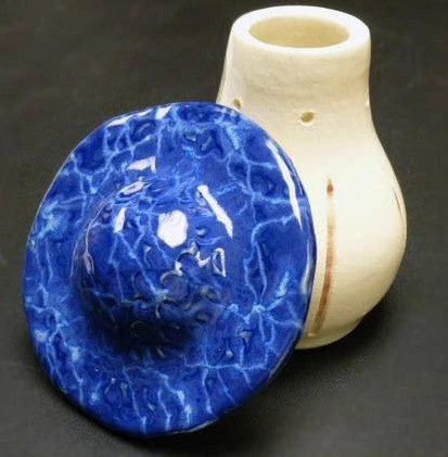 Mushroom Fruit Fly Trap 1 Mushroom Fruit Fly Trap