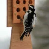 Bamboo & Stoneware Tail Prop Suet Feeder