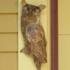 Flamed Owl Wall Decor