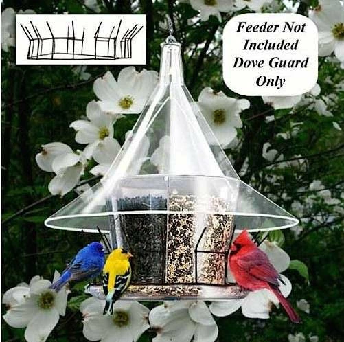 Dove Guard For Sky Cafe Bird Feeders 1 Dove Guard For Sky Cafe Bird Feeders