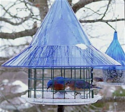 Sky Cafe Bluebird Feeder By Arundale