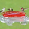 Jewel Box Window Hummingbird Feeder