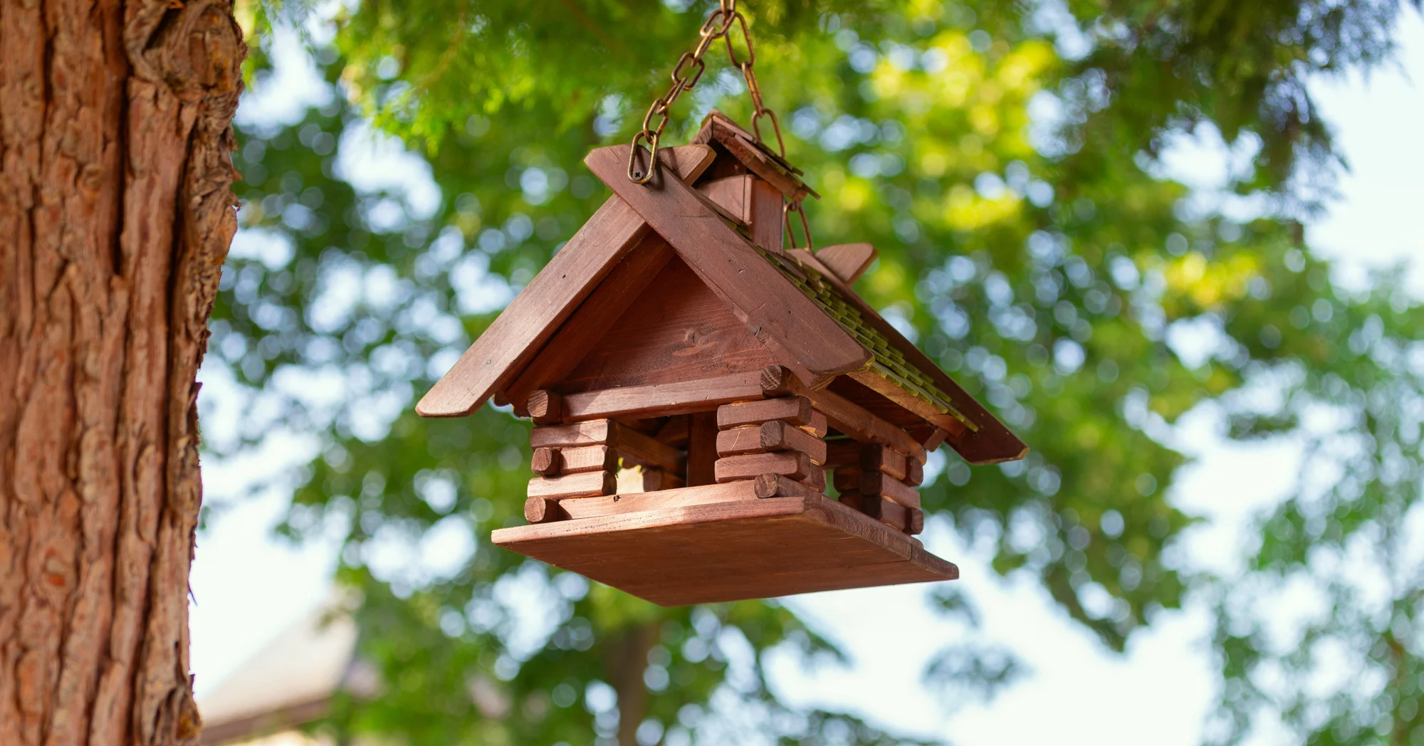 Front Page 48 Front Page -US Poultry Sales Store Adobe Stock Pillerss log cabin style birdhouse hanging natural