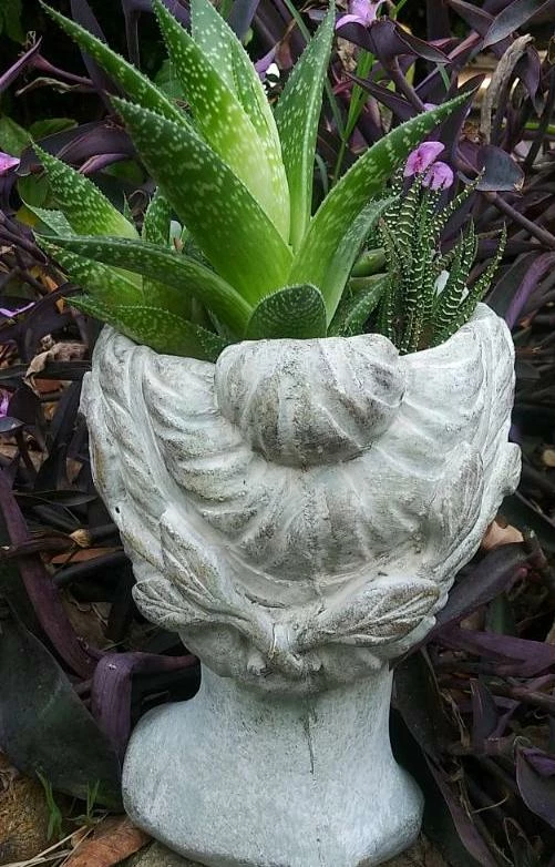 Aphrodite Lady Head Planter 4 Aphrodite Lady Head Planter - Image 4