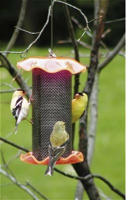 Forever Thistle Feeder-1 Qt 2 Forever Thistle Feeder-1 Qt - Image 2