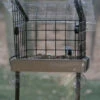 Caged Platform Window Feeder