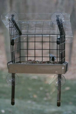 Caged Platform Window Feeder