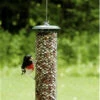 Shelled Peanut Feeder