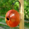 Ellipse Wooden Birdhouse- 3 Colors