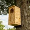 Barred Owl House Assembled Or Kit