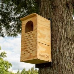 Barred Owl House Assembled Or Kit