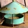 Birdie Buffet Rustic Hanging Feeder