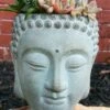 Buddha Head Planter