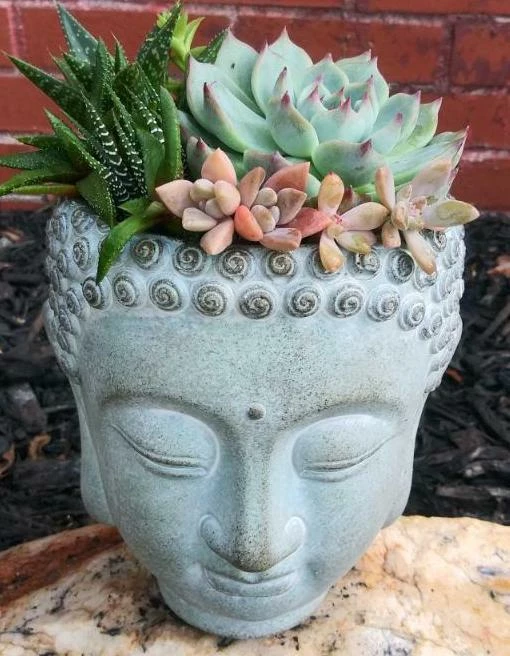 Buddha Head Planter 2 Buddha Head Planter - Image 2