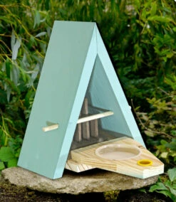 Butterfly Biome Habitat