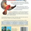 Cardinal Alert Decals-Birds Attacking Windows