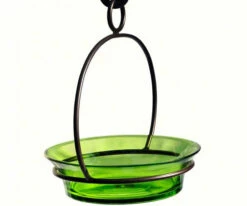 Glass Globe Dish Feeder/Mini-Bath- Red Or Lime -US Poultry Sales Store COURM33720001