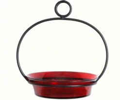 Glass Globe Dish Feeder/Mini-Bath- Red Or Lime -US Poultry Sales Store COURM33720006