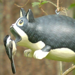 Black & White Fat Cat Wood Birdhouse 2 3 Black & White Fat Cat Wood Birdhouse 2 -US Poultry Sales Store Chickadee at birdhouse