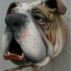 Bull Dog Ceramic Birdhouse
