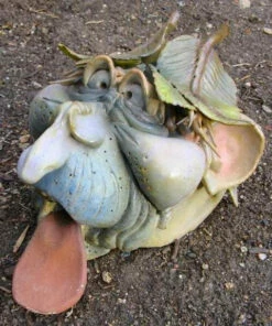 Garden Guy Toad House