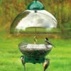 Big Top Squirrel Proof Bird Feeder