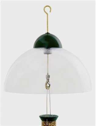 Droll Yankees Squirrel Guard Dome 1 Droll Yankees Squirrel Guard Dome