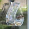 Dew Drop Window Bird Feeder