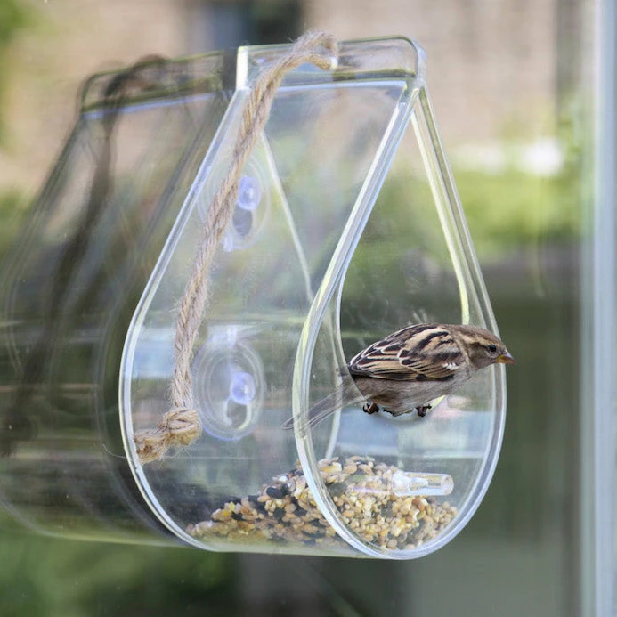 Dew Drop Window Bird Feeder 1 Dew Drop Window Bird Feeder