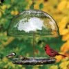 Dorothy’s Cardinal Bird Feeder