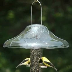 Hanging Weather Guard And Squirrel Baffle