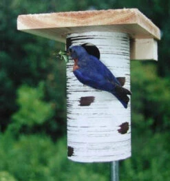 Gilbertson Nest Box - NABS Approved