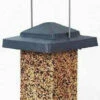 Vista Squirrel Proof Bird Feeder