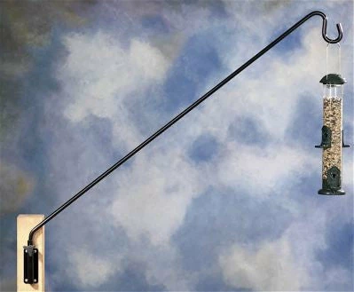 Extended Reach Wall Bracket-36 Inch 1 Extended Reach Wall Bracket-36 Inch