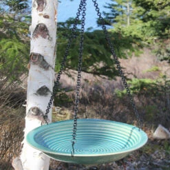 Solar Hanging Bird Bath 12 Solar Hanging Bird Bath -US Poultry Sales Store Hanging Solar Bird Bath