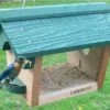 Hanging Bluebird Feeder