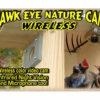 Hawk-Eye Wireless Spy Camera For Birdwatching