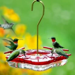 High-View Square Hummingbird Feeder
