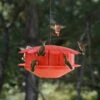Humm-Bug Protein Hummingbird Feeder