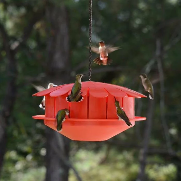 Humm-Bug Protein Hummingbird Feeder 1 Humm-Bug Protein Hummingbird Feeder
