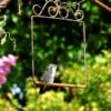 Pop's Hummingbird Swing