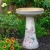 Hummingbird Bird Bath-Lock Top