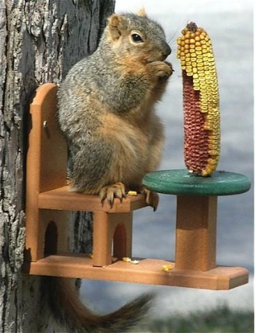 Table And Chair Squirrel Feeder - Recycled Plastic 1 Table And Chair Squirrel Feeder - Recycled Plastic
