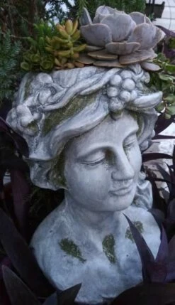 Large Lady Head Planter 7 Large Lady Head Planter -US Poultry Sales Store Lady Head Planted with Succulents