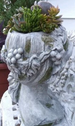 Large Lady Head Planter 10 Large Lady Head Planter -US Poultry Sales Store Lady Head Planter Back Detail