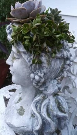 Large Lady Head Planter 9 Large Lady Head Planter -US Poultry Sales Store Lady Head Planter Side Detail
