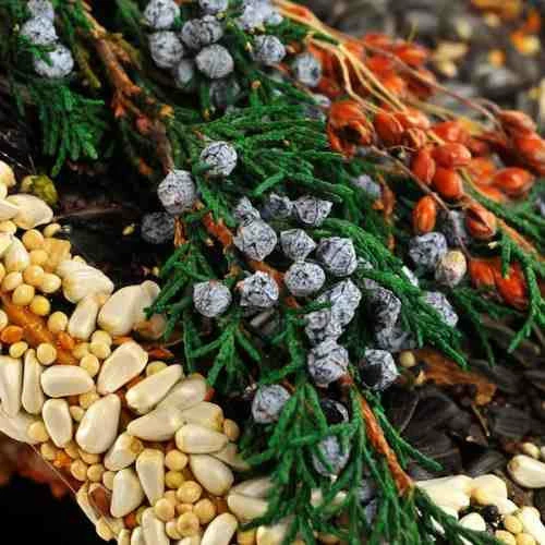 Birdies Bed & Breakfast Chalet 2 Birdies Bed & Breakfast Chalet - Image 2