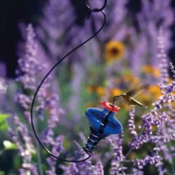 Mini-Blossom Hummingbird Feeder-Hanging 7 Mini-Blossom Hummingbird Feeder-Hanging -US Poultry Sales Store Mini Blossom Hummingbird Feeder e8c0fe0e 1714 488e afe7 07768b3f6b54