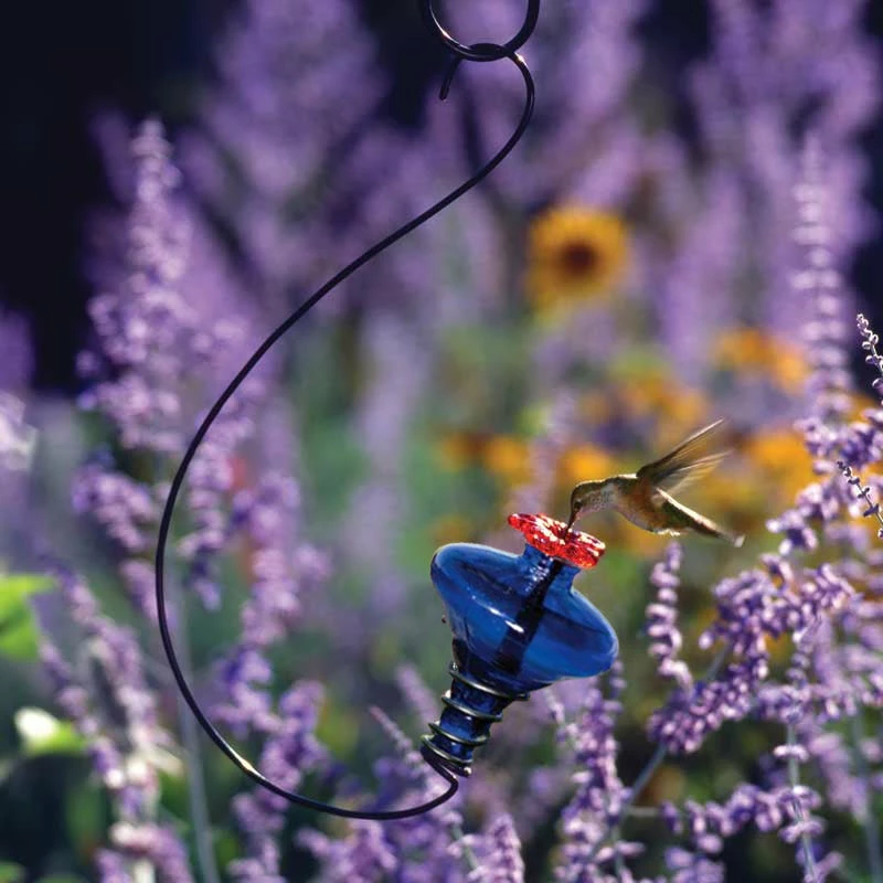 Mini-Blossom Hummingbird Feeder-Hanging 4 Mini-Blossom Hummingbird Feeder-Hanging - Image 4