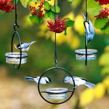 Orb Mealworm & Multi-Use Bird Feeder 2 Orb Mealworm & Multi-Use Bird Feeder - Image 2